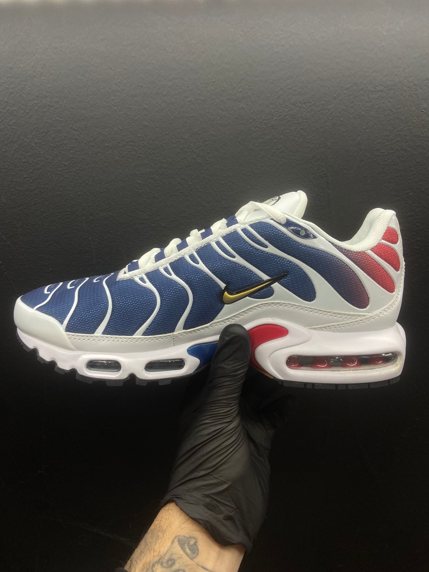 Air Max TN Paris