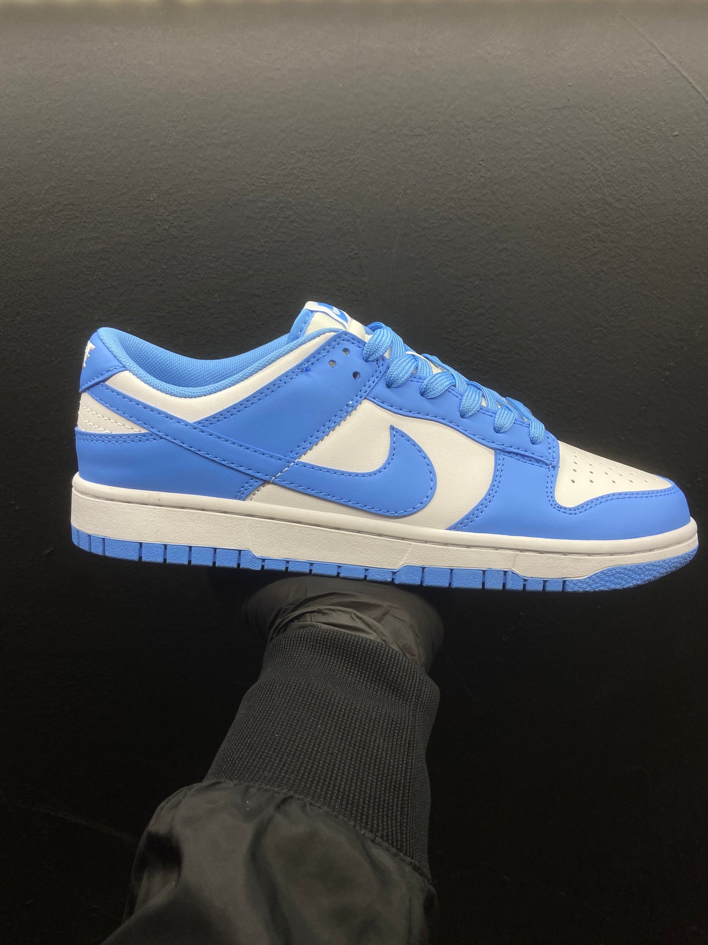 SB Dunk Low blue